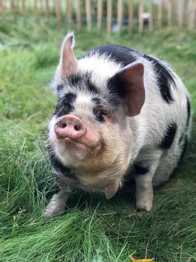 Apartmán Lubblerhof Fehmarn Exteriér fotografie